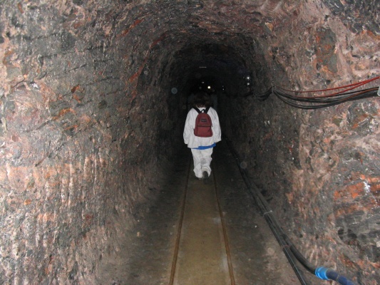 bgcIMG_4804.JPG