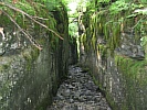 eIMG_4927.JPG