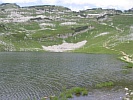 IMG_4938.JPG