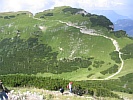 IMG_4973.JPG