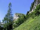 IMG_4997.JPG