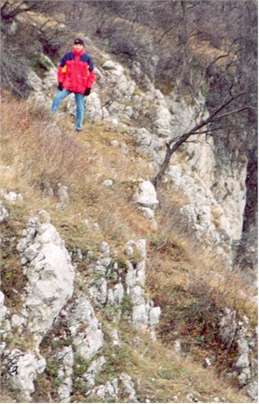 mont01s.jpg (58781 bytes)